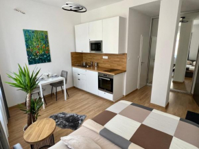 New cozy studio in Old Town